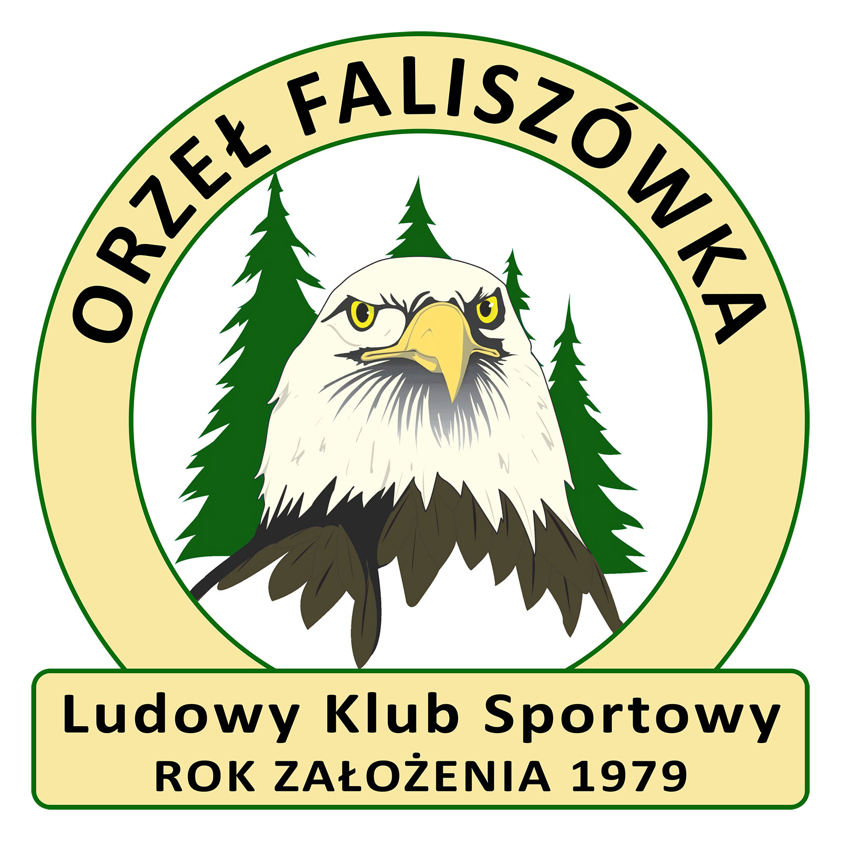 Orzeł Faliszówka